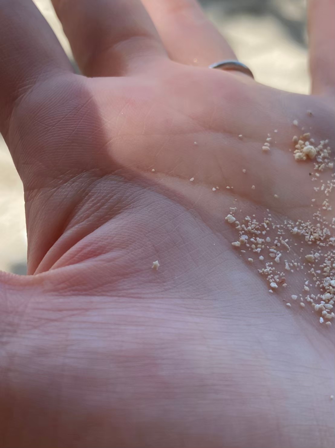 星のや竹富島のビーチで見つけた星砂の写真